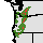 Interactive Abies procera Native Range Map