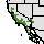 Interactive Juniperus californica Native Range Map