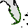 Interactive Laguncularia racemosa Native Range Map