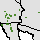 Interactive Washingtonia filifera Native Range Map